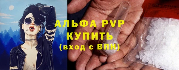 эйфоретик Магас
