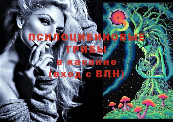 бутират Кукмор